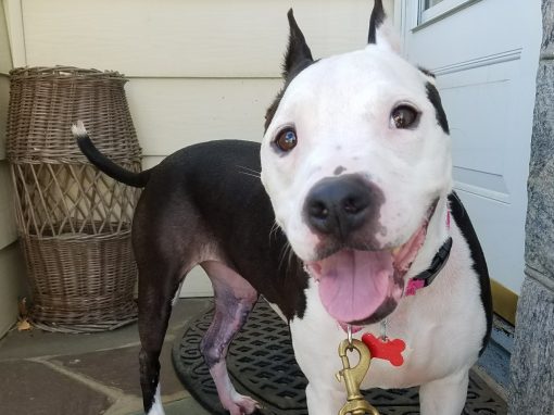 Anna ~ Pretty Little Lady!