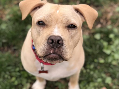 Floyd ~ Pretty Much Perfect!
