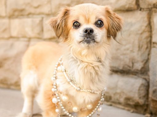 Colette ~ Face of an Angel!